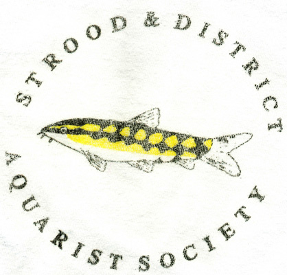 Strood & District Aquarist Society (SDAS) Badge